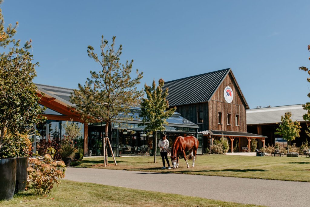 Quel est l’historique du Bo Ranch à La Chapelle-la-Reine