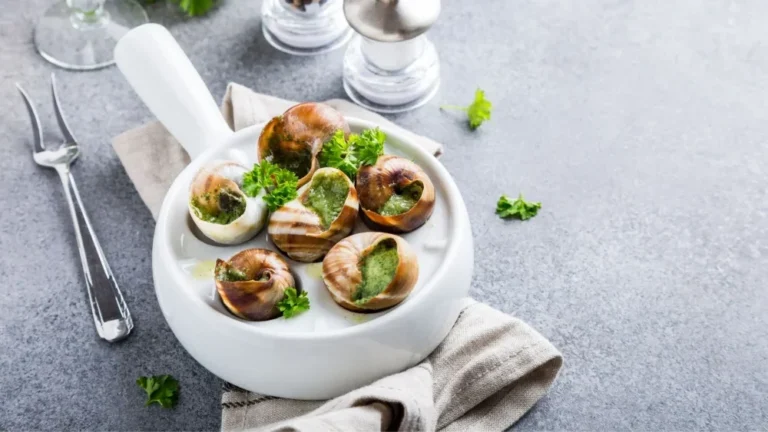 Où trouver les meilleures spécialités au restaurant Le Quai à Tain l'Hermitage 10 assiette de specialites gastronomiques francaises