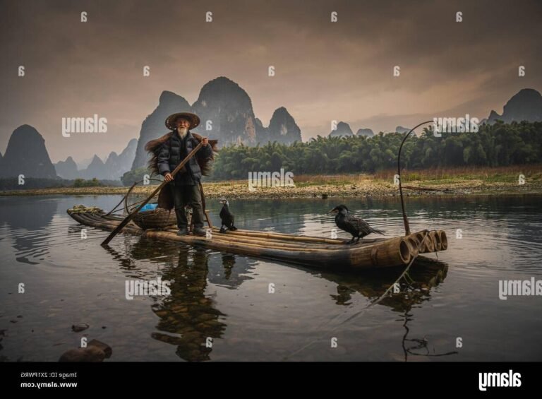 bateau naviguant paisiblement sur une riviere