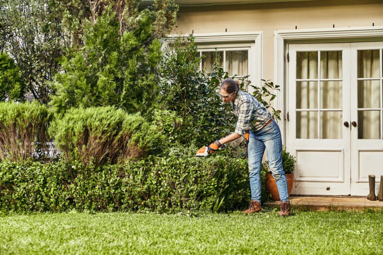 batterie stihl et taille haie en action