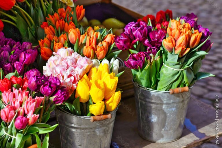 bouquet de fleurs colorees au marche