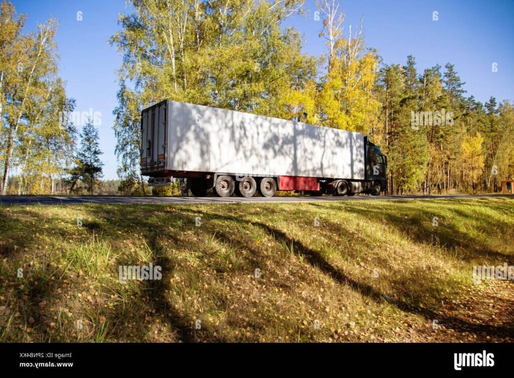 camion frigorifique dans un environnement forestier