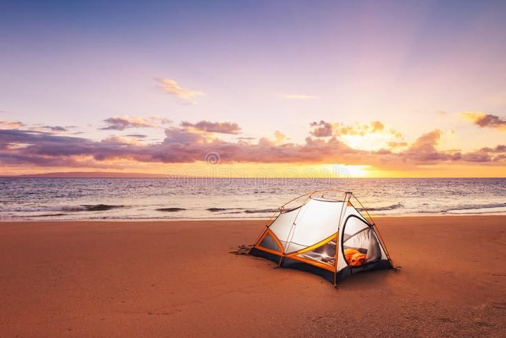 Quelle est l’expérience de camping à Flower Camping Le Nauzan Plage