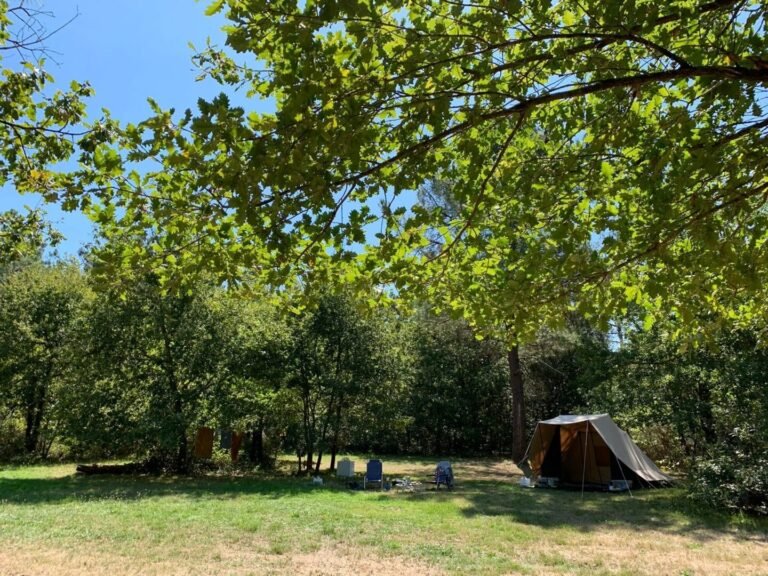 Où se trouve le camping Les P'tites Maisons dans la Prairie 30 camping entoure de nature verdoyante