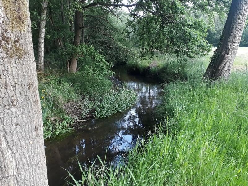 Où trouver un camping agréable sous le Moulin Condes