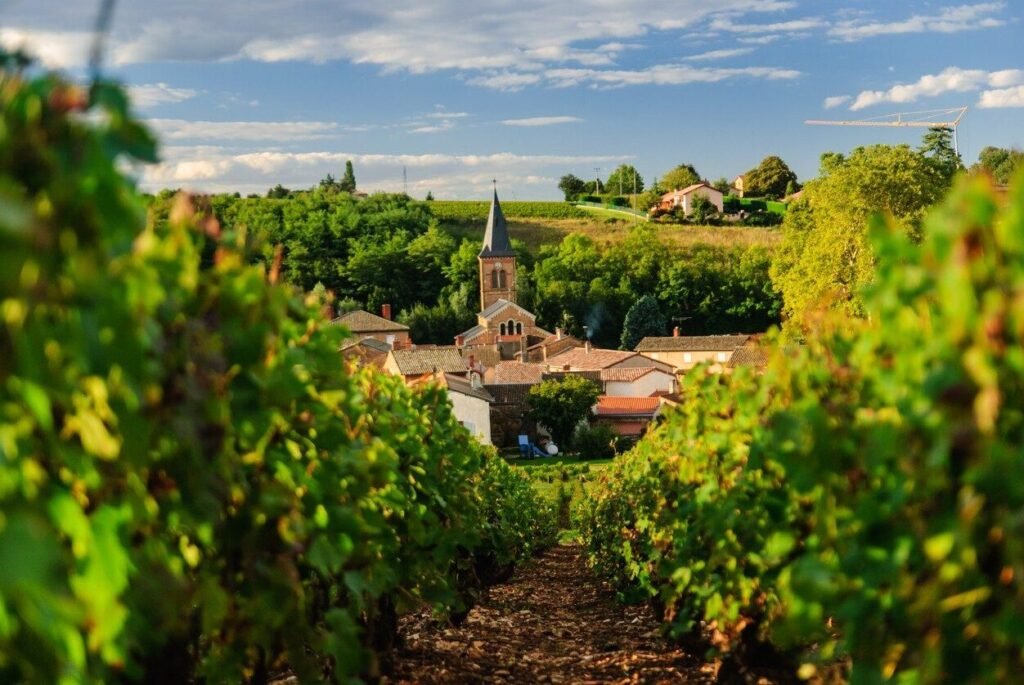 Où trouver les meilleurs campings aux portes du Beaujolais