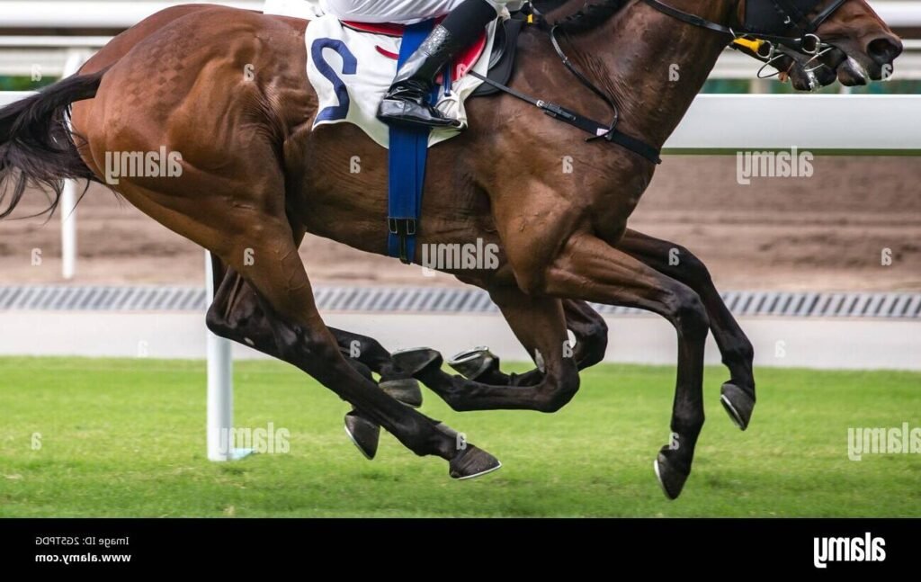 cheval courant sur une piste de course