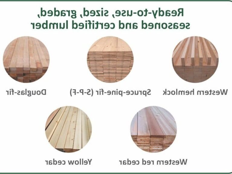 differents types de bois en exposition