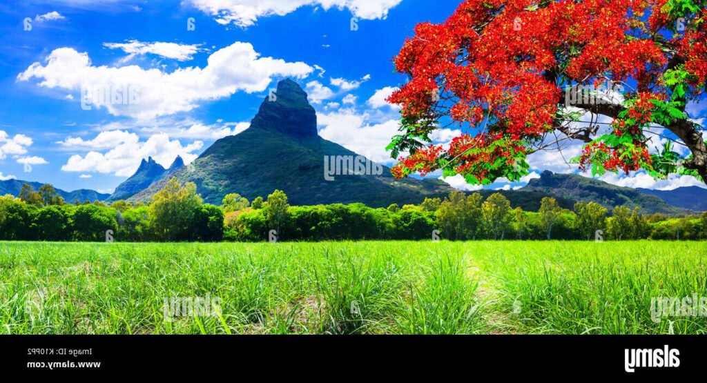 flamme dans un paysage naturel verdoyant