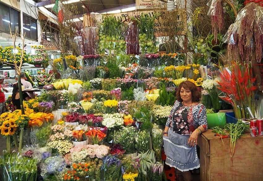 Comment choisir les meilleures fleurs chez Au Jardin de Lou à Orsay