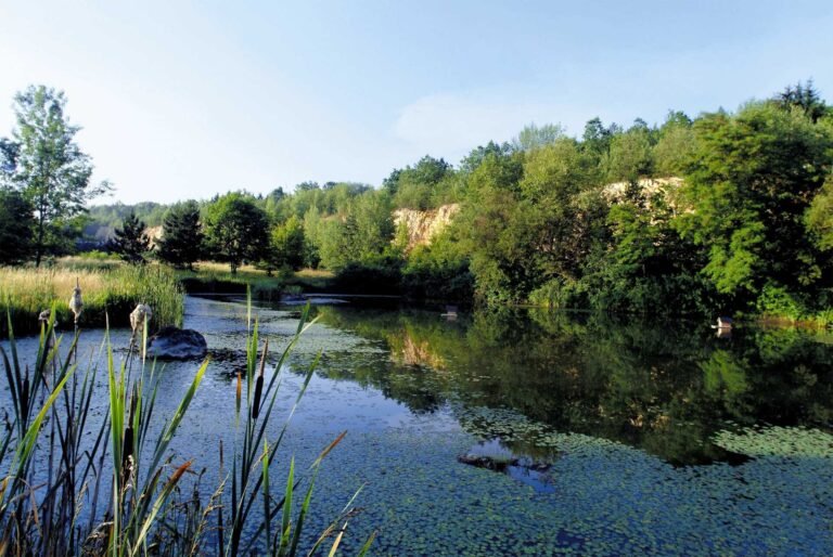 fournisseurs de materiaux en pleine nature