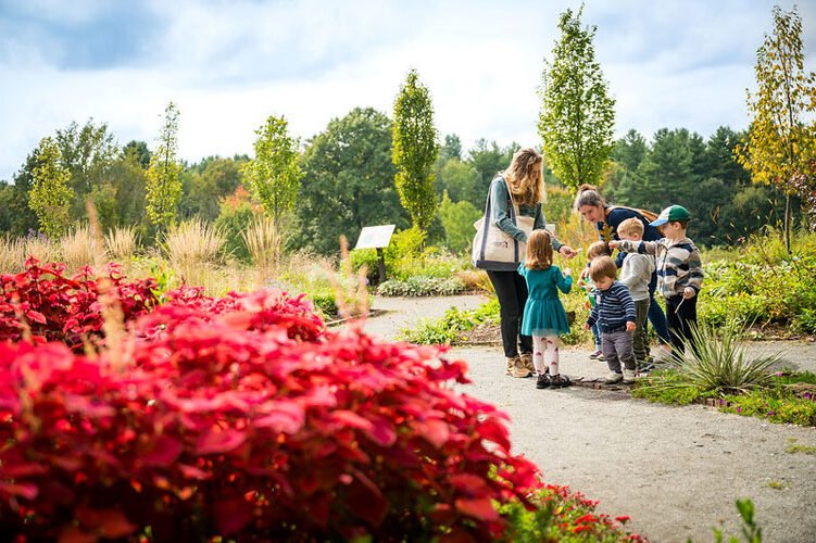 Quel est l’histoire et les activités du Botanic à Sargé-lès-Le-Mans