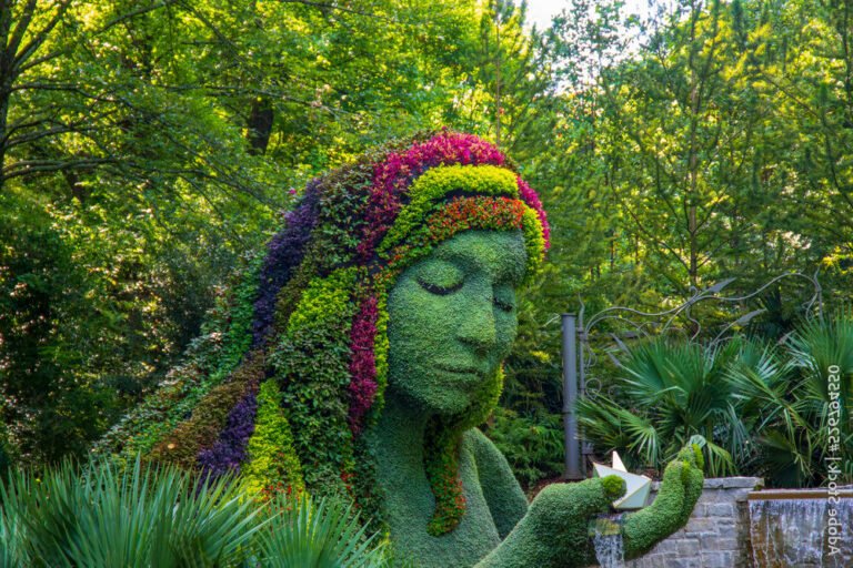 jardin botanique luxuriant avec sculptures