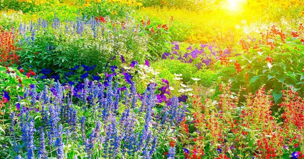 Comment profiter du soleil pour embellir votre jardin à Solaize