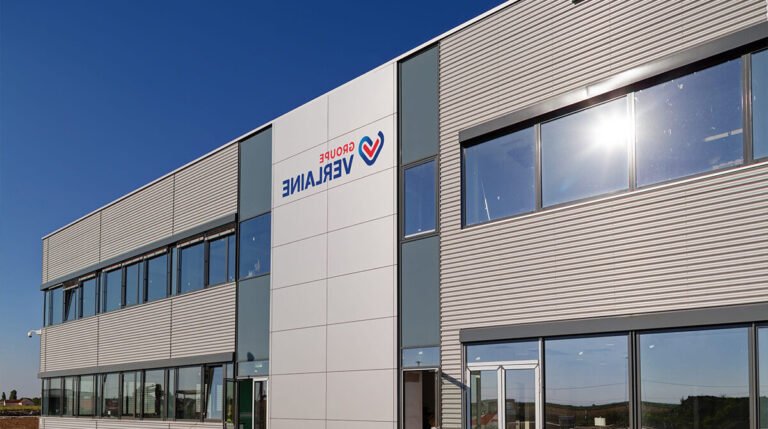 logo du groupe verlaine avec des batiments