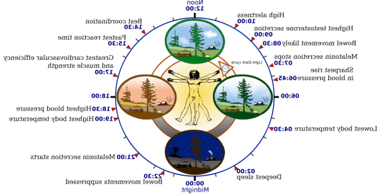 moment ideal pour sentrainer au fitness