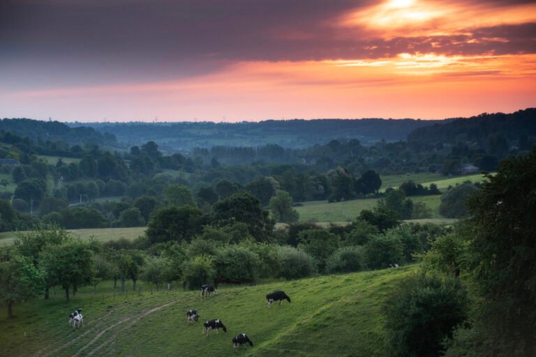 Pourquoi choisir une agence immobilière dans le Pays d'Auge 17 paysages pittoresques du pays dauge