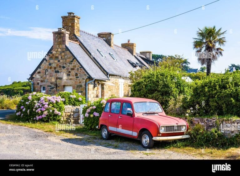 peugeot sur route bretonne ensoleillee