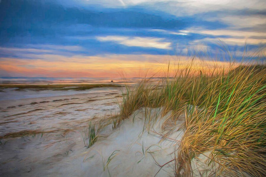 Pourquoi choisir le camping Les Dunes sur l’île de Ré pour vos vacances