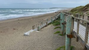 plage de dunes et actives en plein air