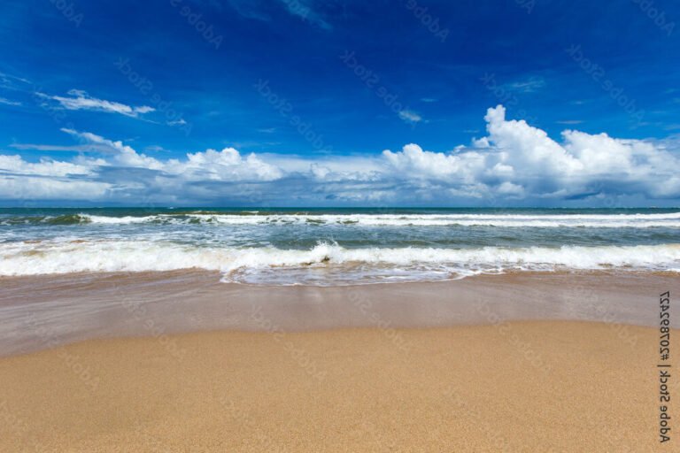 plage ensoleillee avec vue sur la mer