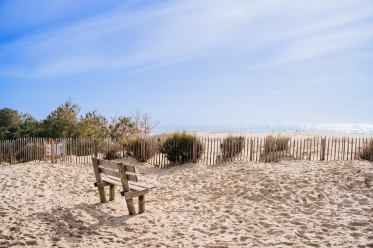 plage et paysages de lege cap ferret
