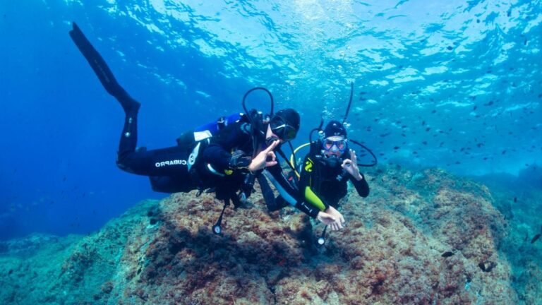 plongee sous marine a dives sur mer