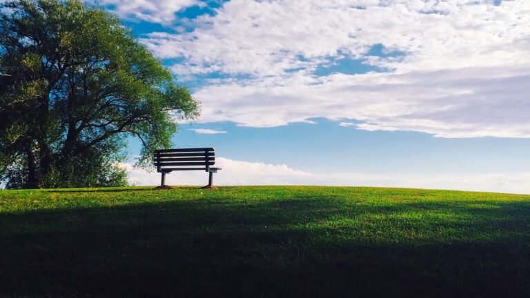 Quels services offrent les pompes funèbres Henry au Val d'Ajol 17 services funeraires au val dajol