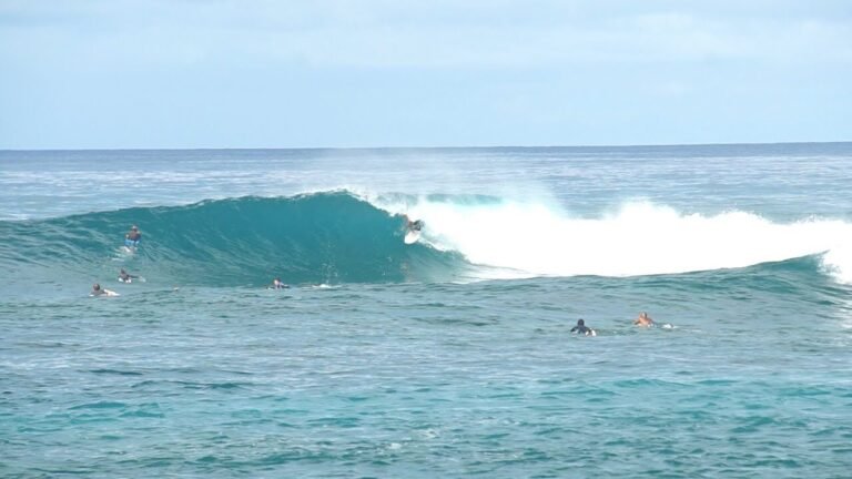 Que savoir sur Kaz Ocean à Saint-Leu, La Réunion 3 surf sur les vagues de saint leu