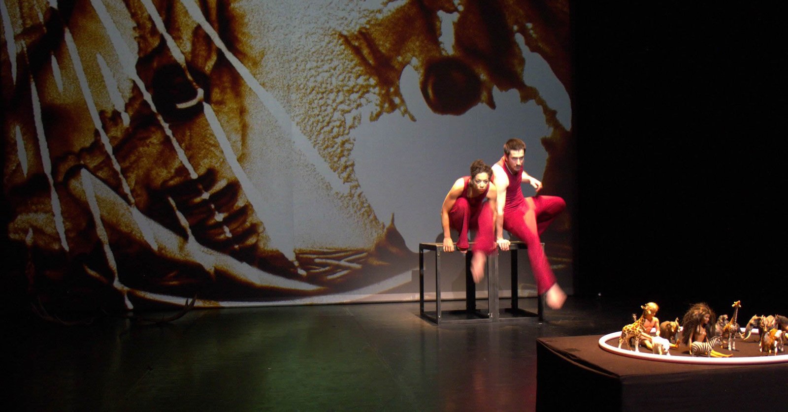 Que savoir sur le spectacle 