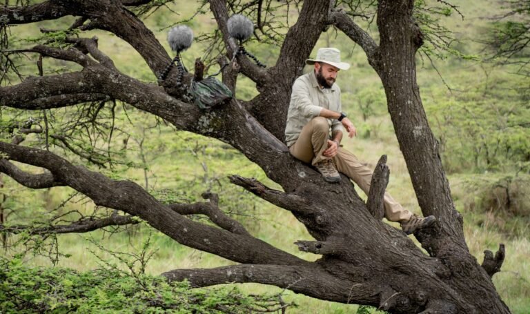 un microphone capte des sons en plein air