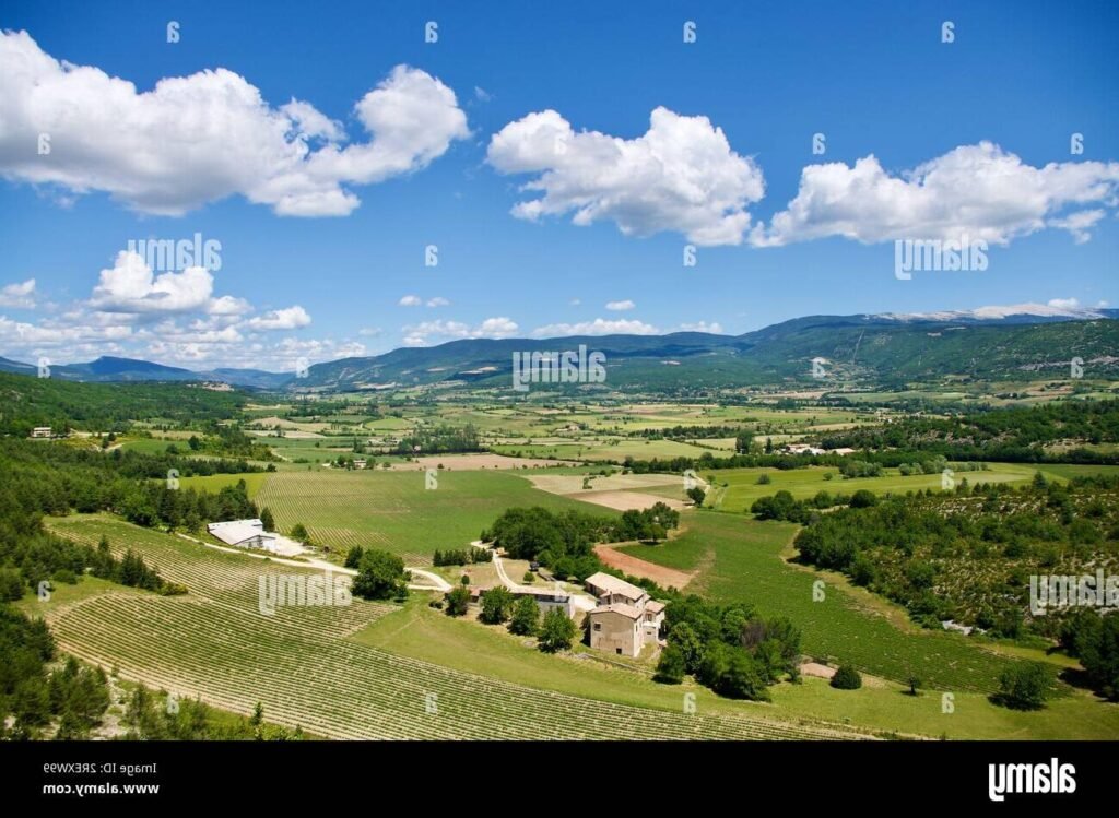 Quel est le rôle du Crédit Agricole Provence Côte d’Azur dans votre région