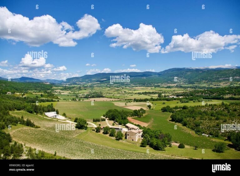 un paysage de la provence avec des agriculteurs