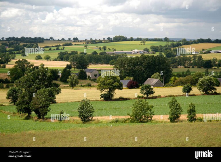 Comment réussir votre transition professionnelle dans les Pays de la Loire 28 un paysage des pays de la loire