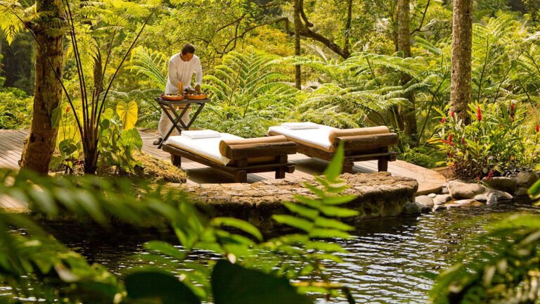 un spa relaxant entoure de nature