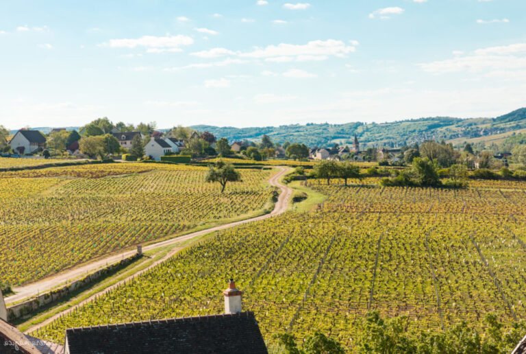 une vue de la saone et loire