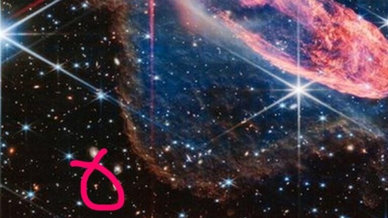 Quelles activités et boutiques trouve-t-on à l'Espace des Marques Jard-sur-Mer 11 une vue exterieure de lespace des marques