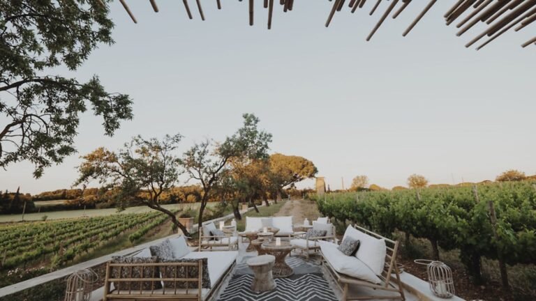 Quelle est l'histoire du domaine Poisot Père & Fils 11 vignes ensoleillees du domaine poisot