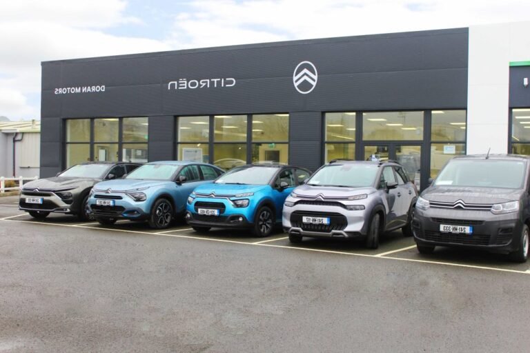 Quel est le service Stellantis &You à Citroën Les Ulis 33 voiture citroen moderne en concession