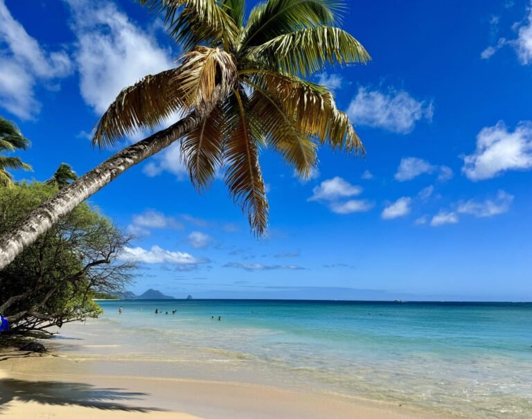 voiture de location sur une plage martiniquaise