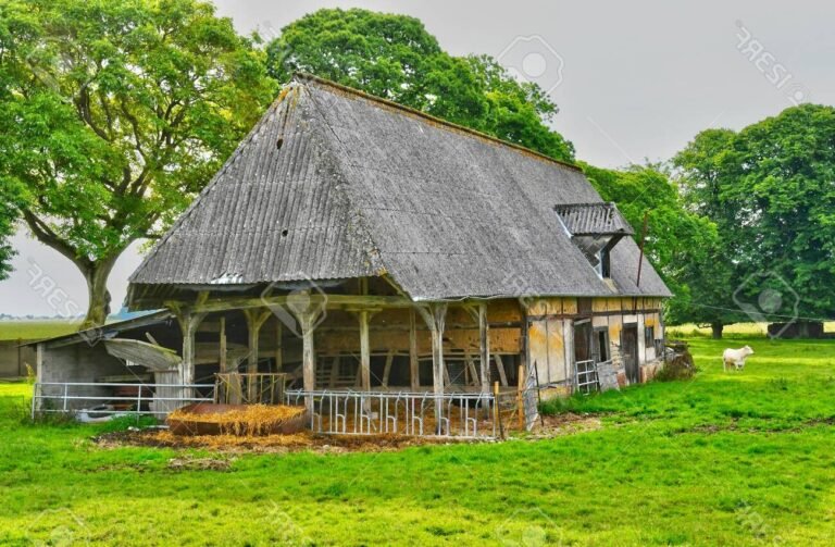Quel est le point P à La Neuville Chant d'Oisel 6 vue aerienne de la neuville chant doisel