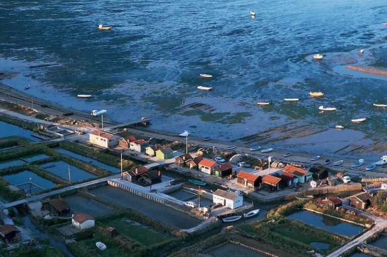 vue aerienne de marennes oleron en transformation