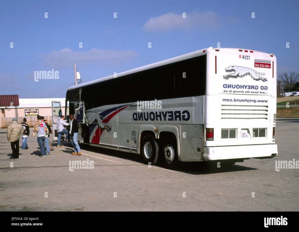 vue dun bus sur une route pit