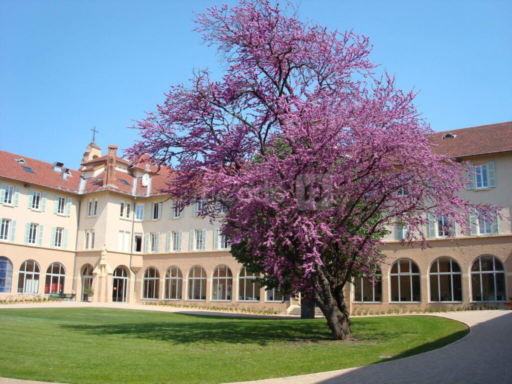 Quel est l’hôtel Domaine Lyon Saint Joseph et quels services propose-t-il