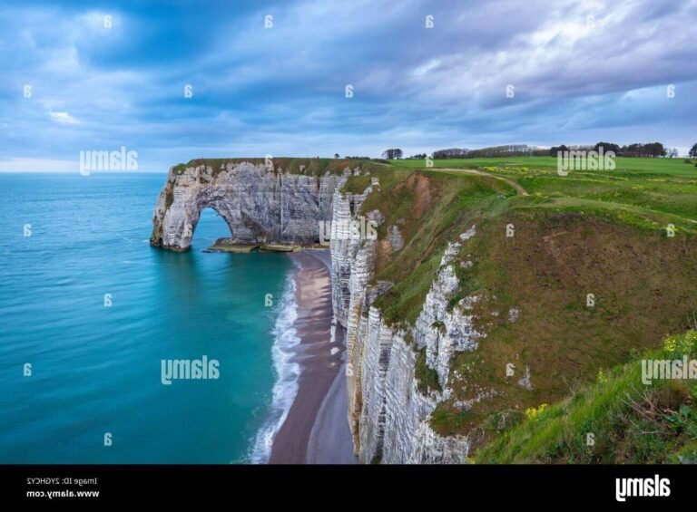 vue panoramique de la cote ouest au havre