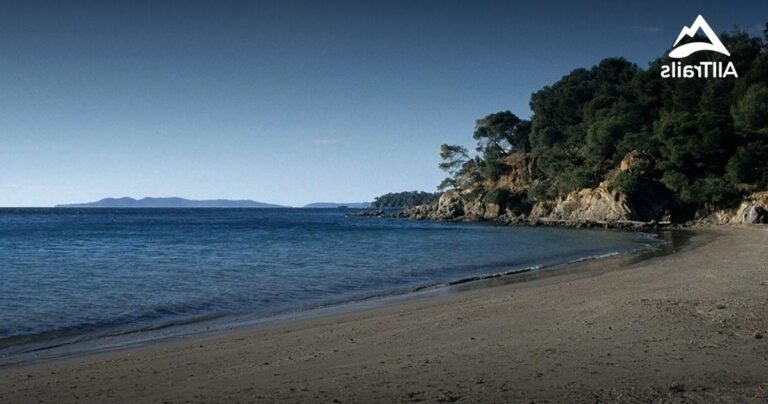 vue panoramique de la londe des maures