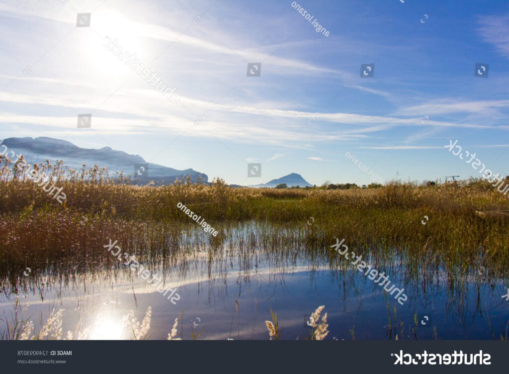 Que faut-il savoir sur Saint Joachim et la Mare aux Oiseaux 6 Que faut-il savoir sur Saint Joachim et la Mare aux Oiseaux