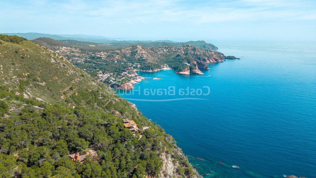 vue panoramique de la terre de son