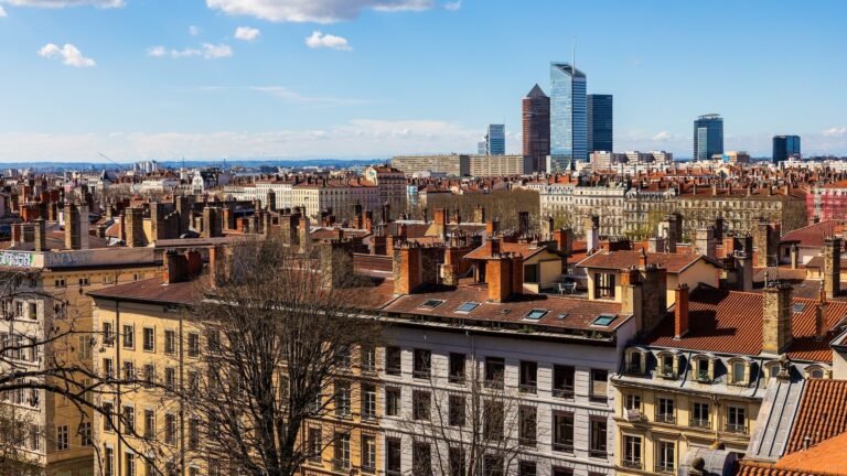 vue panoramique de lyon avec des biens immobiliers