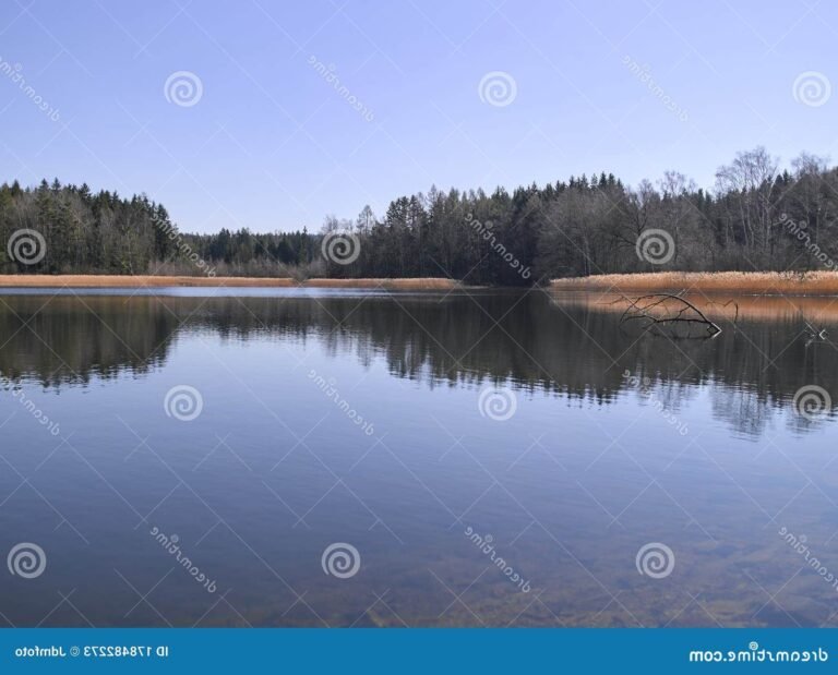 vue panoramique de nulle part ailleurs